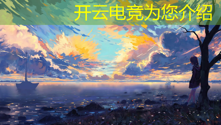 开云电竞为您介绍：职业电竞赛事有哪些游戏