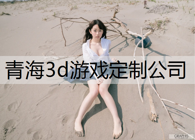 青海3d游戏定制公司